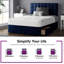 Galarza Divan Bed Base-1652018682-1652018444-1652018452
