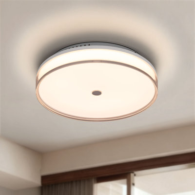 Jelly - 17.7 inch White Acrylic LED Flush Mount Ceiling Light, Dimmable 2700K-5000K Adjustable, Modern Circle Flush mount for Bedroom, Hallway, Living Room