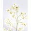 Dancing Oncidium Orchid 46.5"