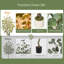 Grand arbre d'eucalyptus artificiel de 5 pi / 6 pi / 7 pi, grande plante de plancher en soie artificielle avec jardinière blanche pour le salon, le bureau et l'entrée-133343466
