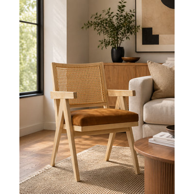 Cordual 19.5'' H Velvet Upholstered Oak Armchair