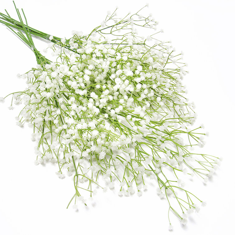 Primrue Baby's Breath Stems, Bushes, And Sprays Arrangement