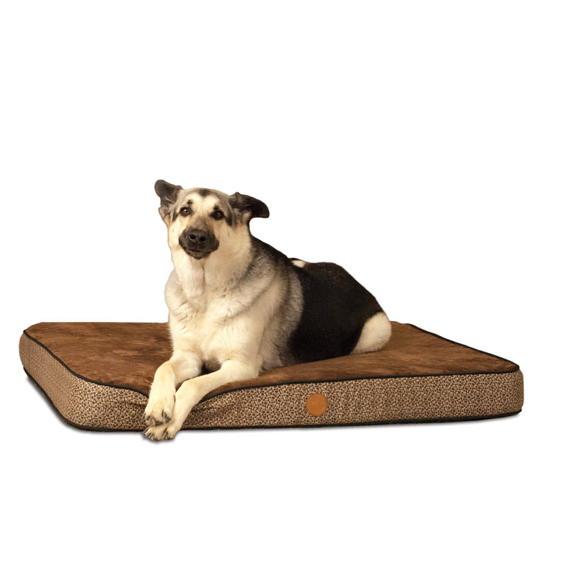 Coussin orthopédique pour chien Superior, Moyen (l 40 po x P 30 po x H 5 po), Moka