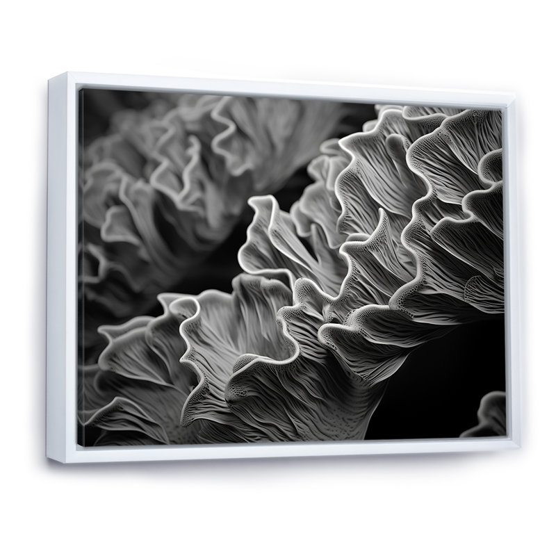 Impression sur toile «Black and White Coral Anemone», plage et océan, Cadre flottant blanc, H 34 po x l 44 po x P 1,5 po