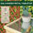 Garden Storage Cabinet