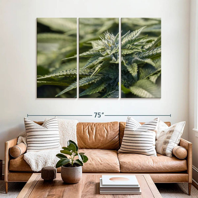 Plante de marihuana cristallisée Harnek, H 42 po x l 65 po