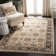Mainville Vintage Performance Oriental Rug