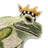 Frog Shaped Throw Pillow