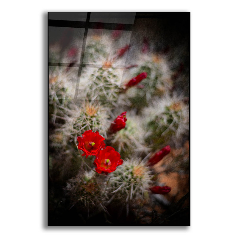 «Desert Flower 6» par Lightbox Journal, H 24 po x l 16 po