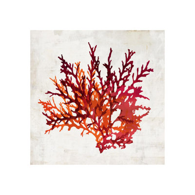 «Pomegranate Coral I» par Sofia Fox - Peinture