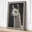 Alpaca Portrait Japandi - Wrapped Canvas-41848098-41848103