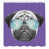 Bleu violet est en rupture de stock
