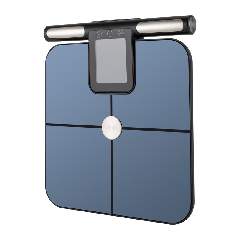 SUNYOU General Scale