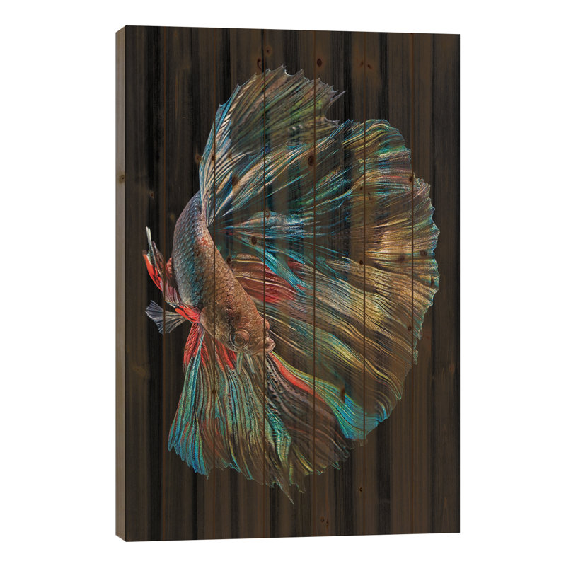 Le poisson Betta, H 26 po x l 18 po x P 1,5 po, Bois