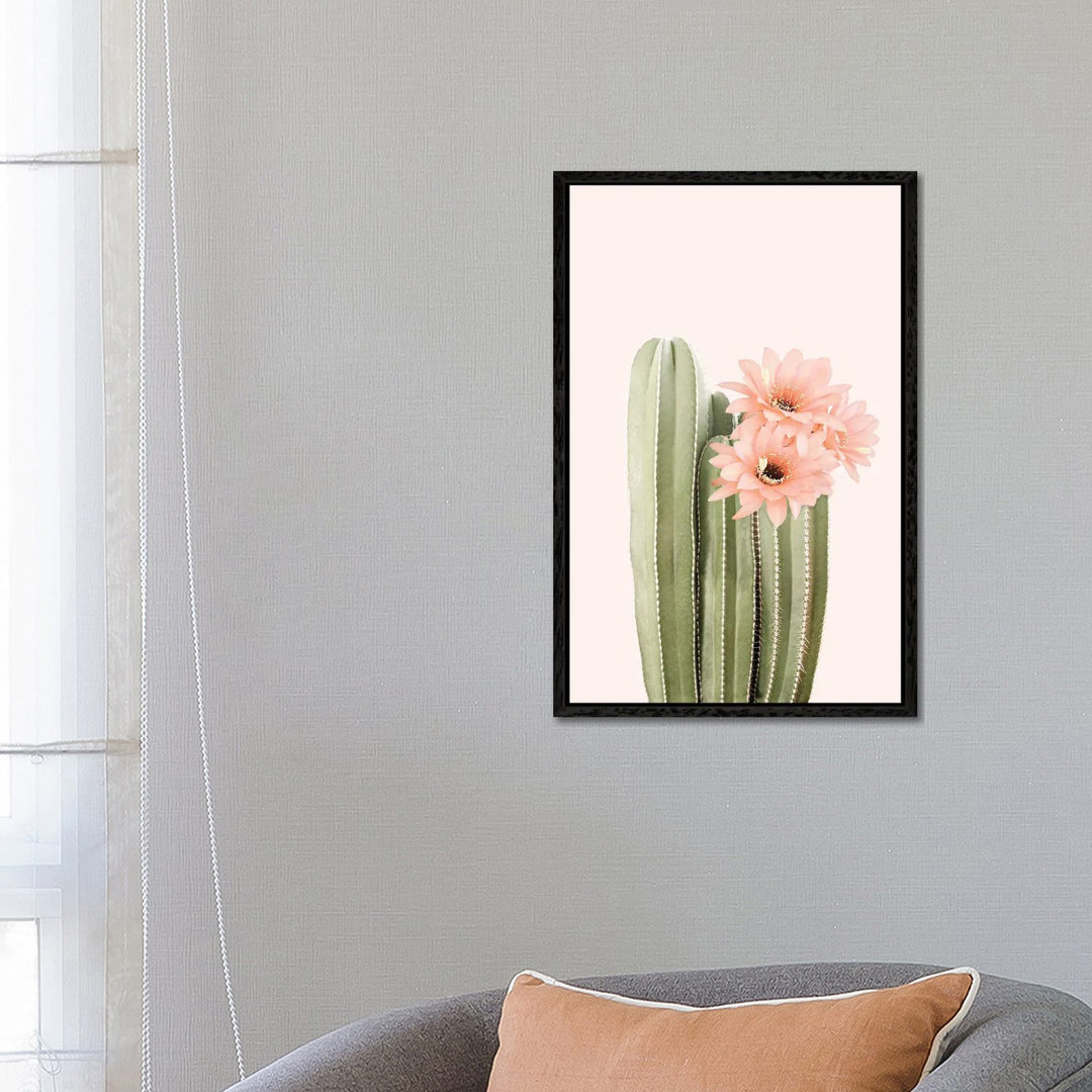 Cactus Flowers von Sisi & Seb - Galerie-verpackte Leinwand Giclée auf Leinwand