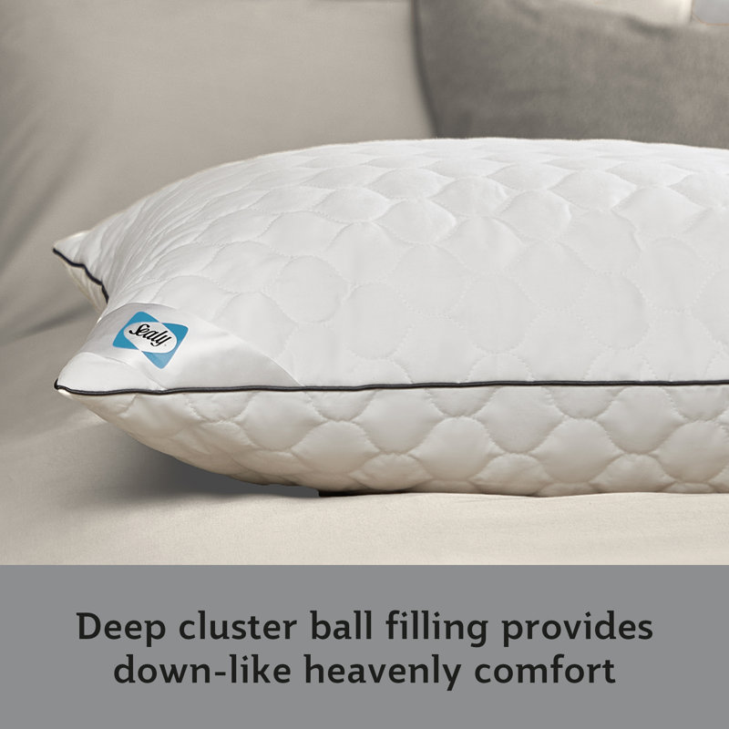 Sealy Deeply Full Pillows 2 Pack