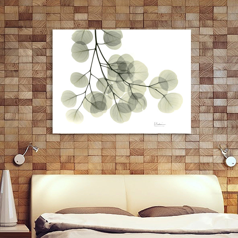 «Eucalyptus - L257», impression sur toile tendue, H 24 po x l 32 po