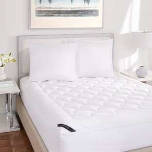 Huge Dutch Euro Pillow White- Dorm Pillows