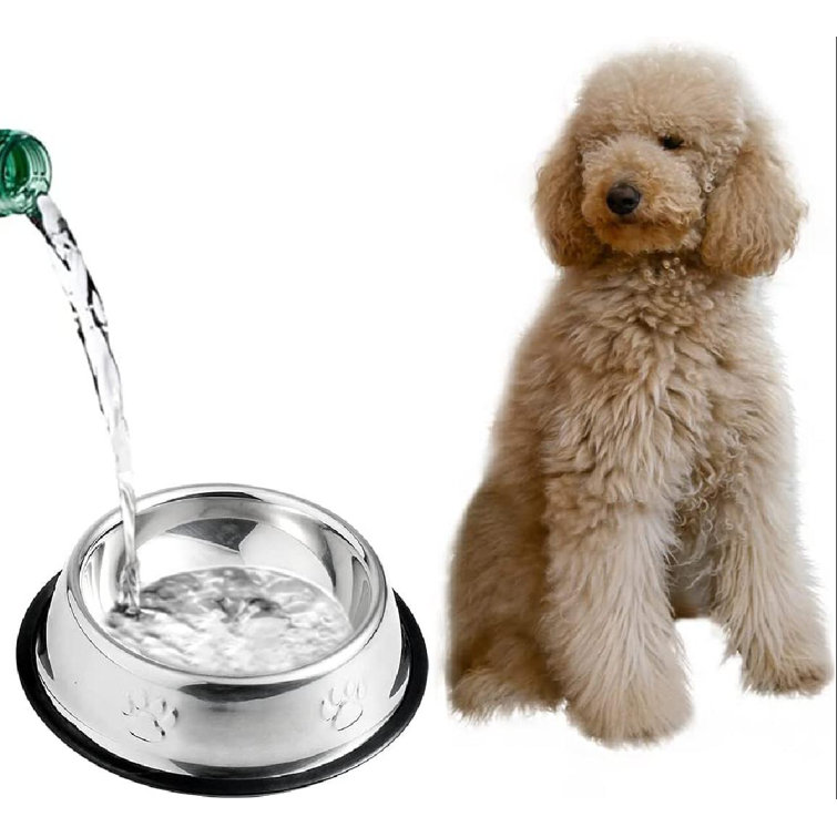 https://assets.wfcdn.com/im/51887177/resize-h755-w755%5Ecompr-r85/2158/215844310/Cat+Bowls+Stainless+Steel+Dog+Bowls+With+Rubber+Base+Anti-Slip+Cat+Food+And+Water+Bowl%2C+Perfect+Choice+For+Small+Dogs+Or+Cats.jpg