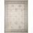 Lamarche Oriental Indoor Rug-22463103