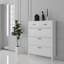 Baneen 8 Pair Shoe Storage Cabinet