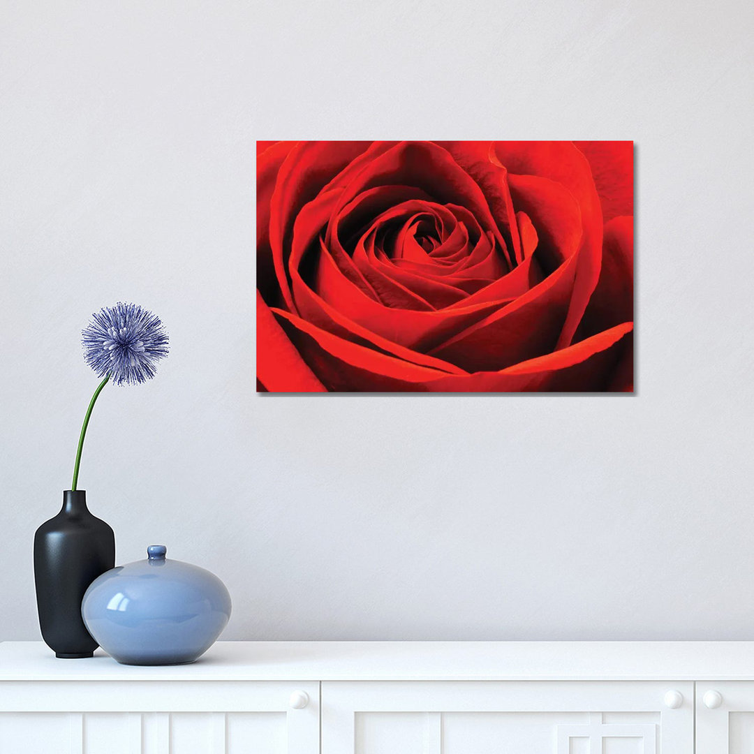 Red Rose by Brian Wolf - Wrapped Canvas Art Prints