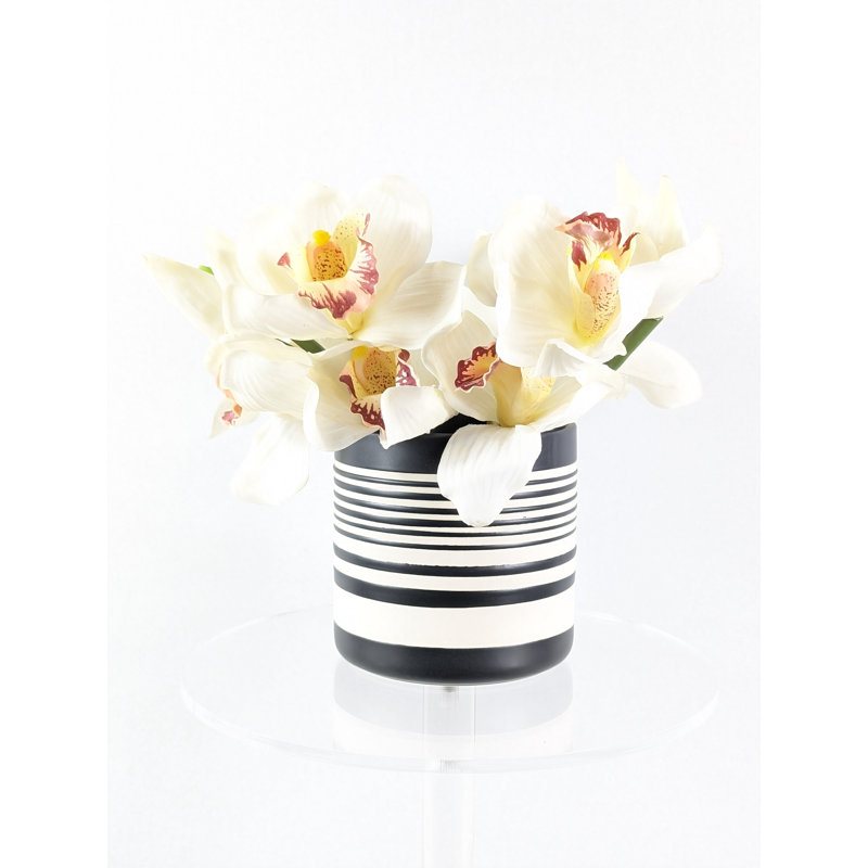 Adeele Ceramic Pot Planter