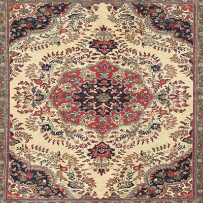 Oriental Indoor Rug