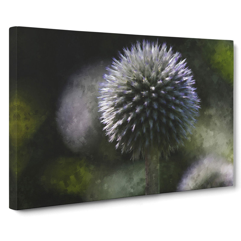 Thistle Flower Vol.4 - Wrapped Canvas, 35cm H x 50cm W x 3cm D