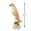 Env. 10 pouces de haut perroquet émaillé blanc crème moyen-1361237537