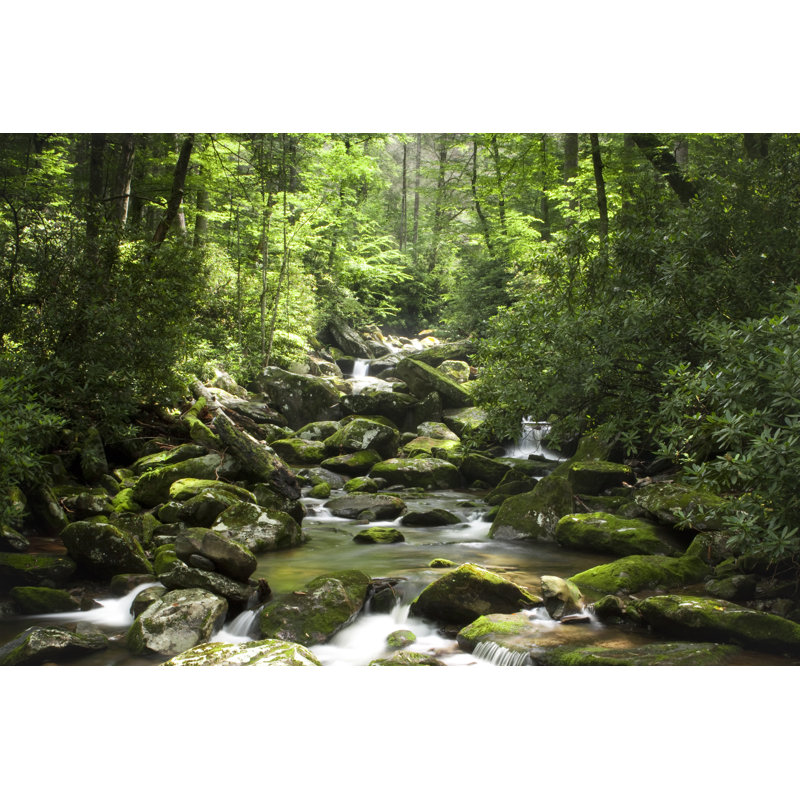 Rolling Mountain Stream - Wrapped Canvas Print, 30cm H x 46cm W