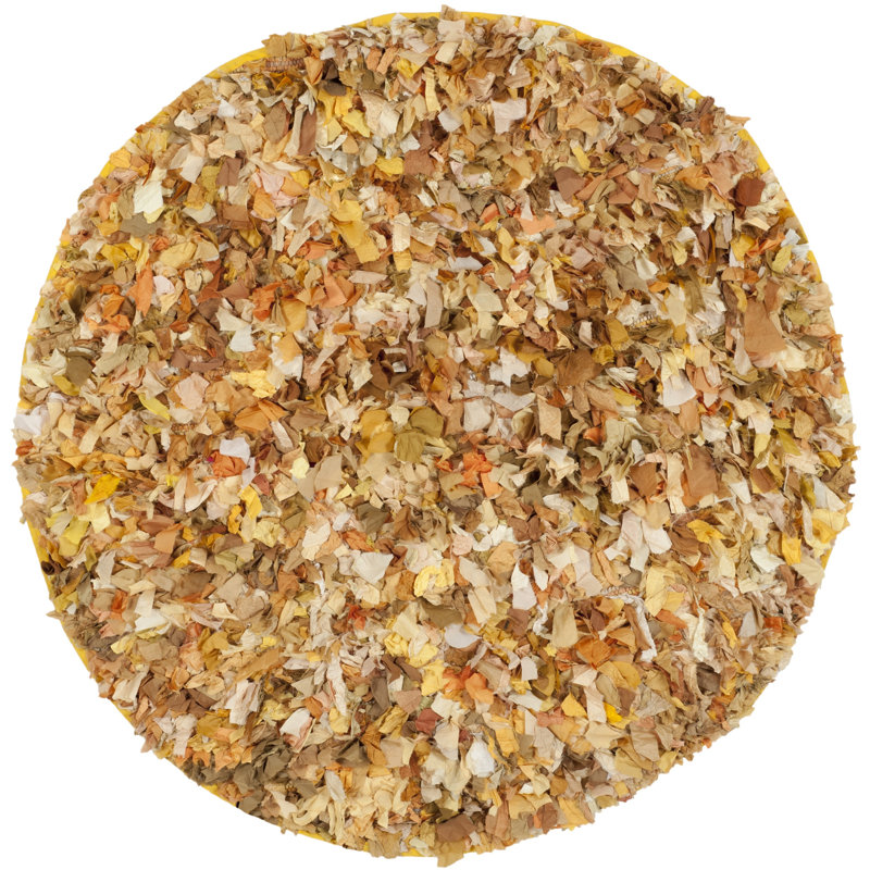 Godsey Shag Hand Woven Performance Rug, Round 6'