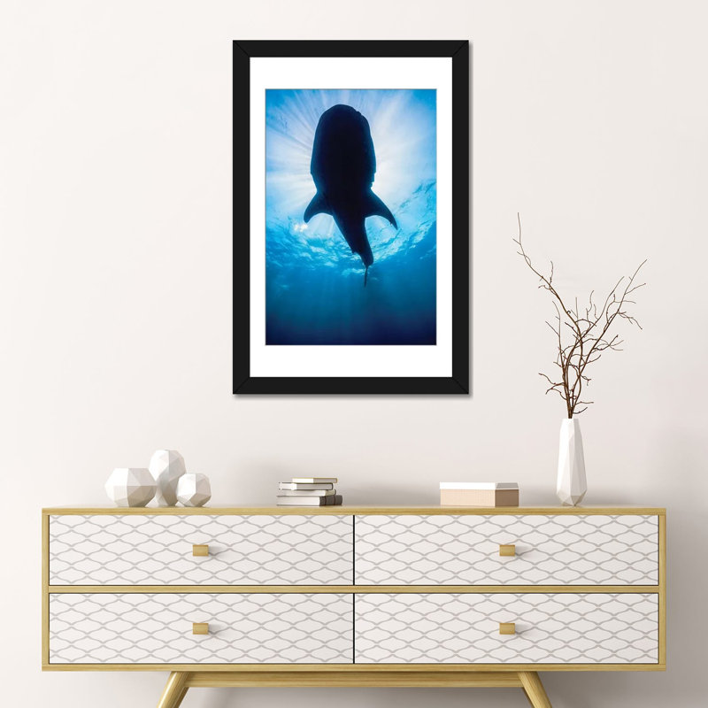 « baleinee shark », reproduction de photo sur toile, Papier d'art encadré noir, H 24 po x l 16 po x P 1 po, Blanc
