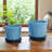Decorative Glazed Planters With Saucers for Indoor & Outdoor Patio Use -  Scalloped Flower Pots Home  Accent for Living Room Decor - Set Of 2, 8", 7"