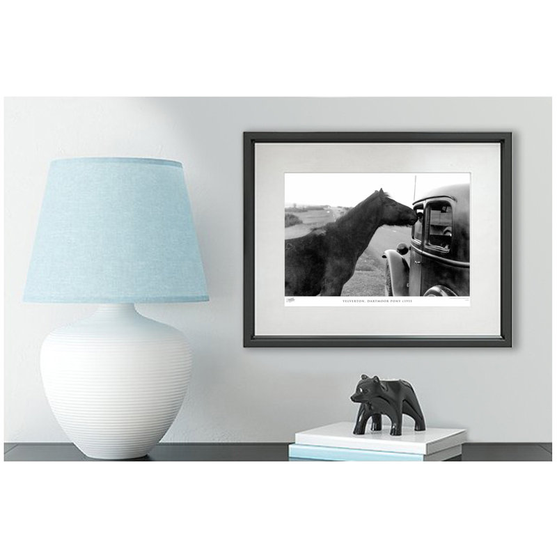 Yelverton, Dartmoor Pony C1955 by Francis Frith - Single Picture Frame Print, 60cm H x 80cm W x 2.3cm D
