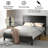 Algene Platform Bed-242550562-242550565
