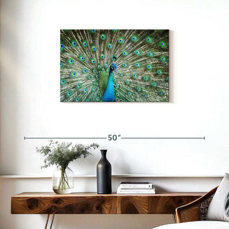 Brampt Peacock Displaying Tail, 20" H x 30" W