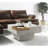 Kailano Weathe Finish Coffee Table