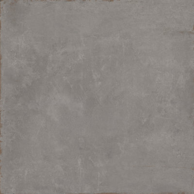 Cogent Silver 31 in. x 31 in. Matte Porcelain Floor and Wall Tile (13.67 sq. ft./Case)