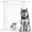 Barrière pour chien 30 "à 41" avec petite porte et ensemble d'extension, H 42 "