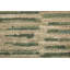 Tapis à motif abstrait moderne Roy / vert / ivoire / brun Roy-680385559