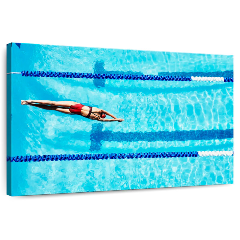 Sireci Competitive Swimming Athlete, 20" H x 30" W