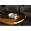Cloud Handmade Eartenware Decorative Bowl-273548585