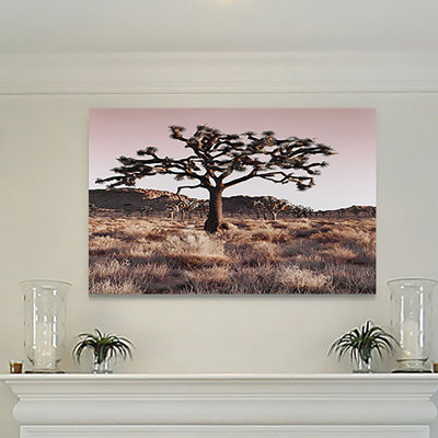 " Joshua Tree "