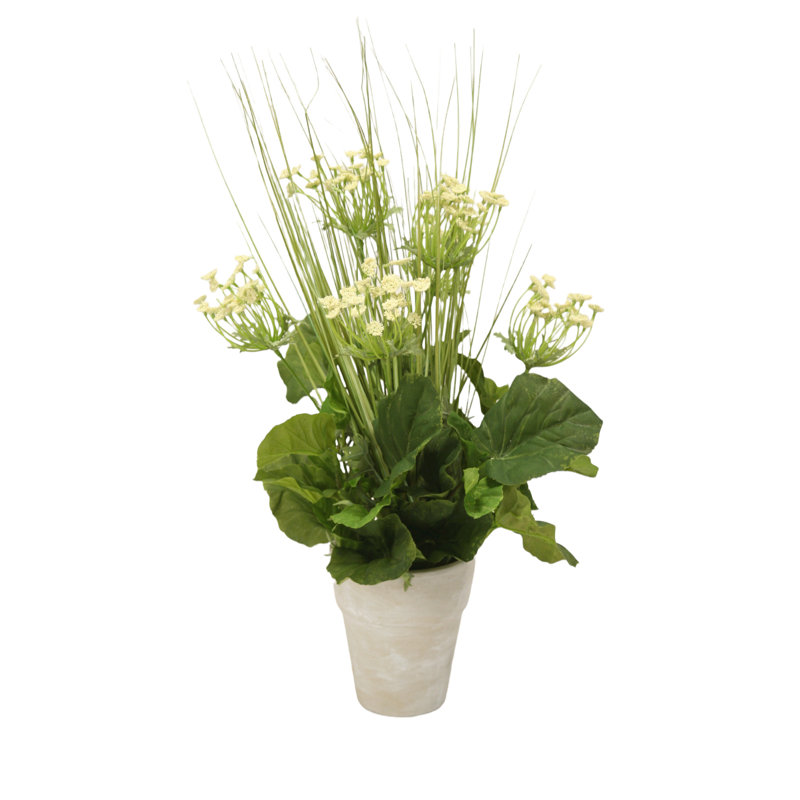 Arrangements floraux mixtes en pot