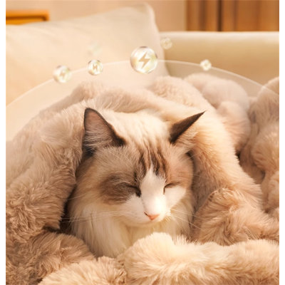 Tapis pour chat Cat
