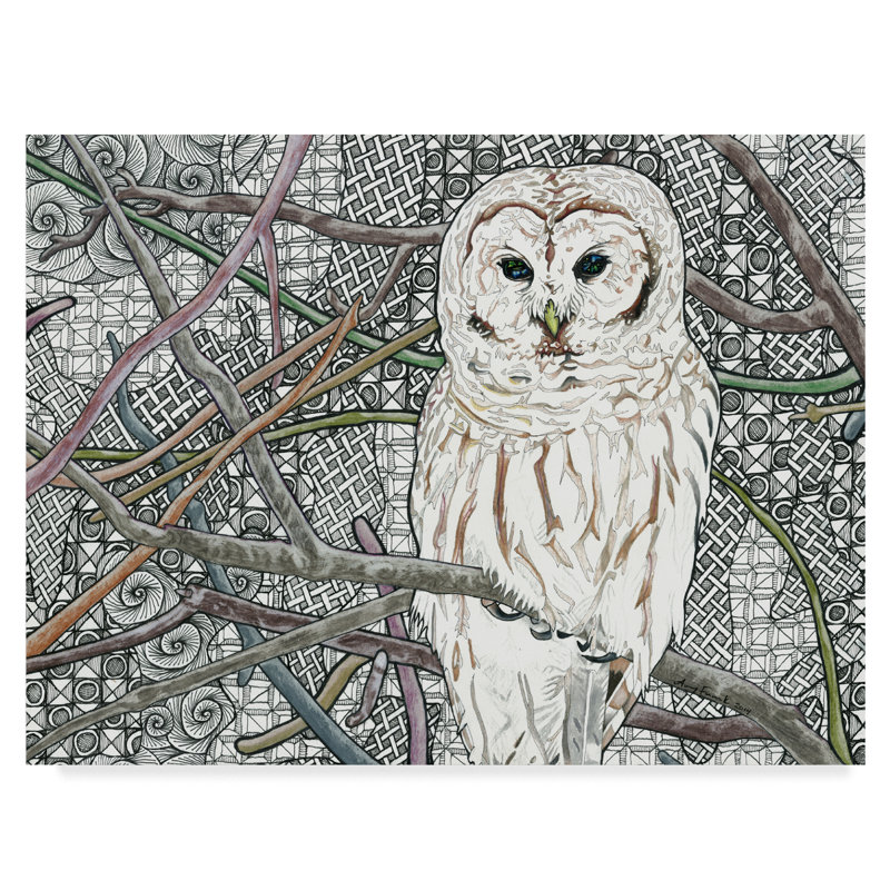 Barred Owl White Canvas Art in Modern Frame