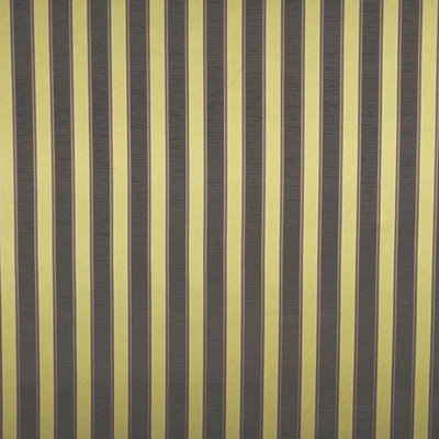 Earn Your Stripes Fabric