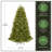 Downswept Douglas Fir Tree with Lights-1019149339-1019149337