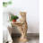 Creative Solid Wood Bear With Tray Decorative Piece